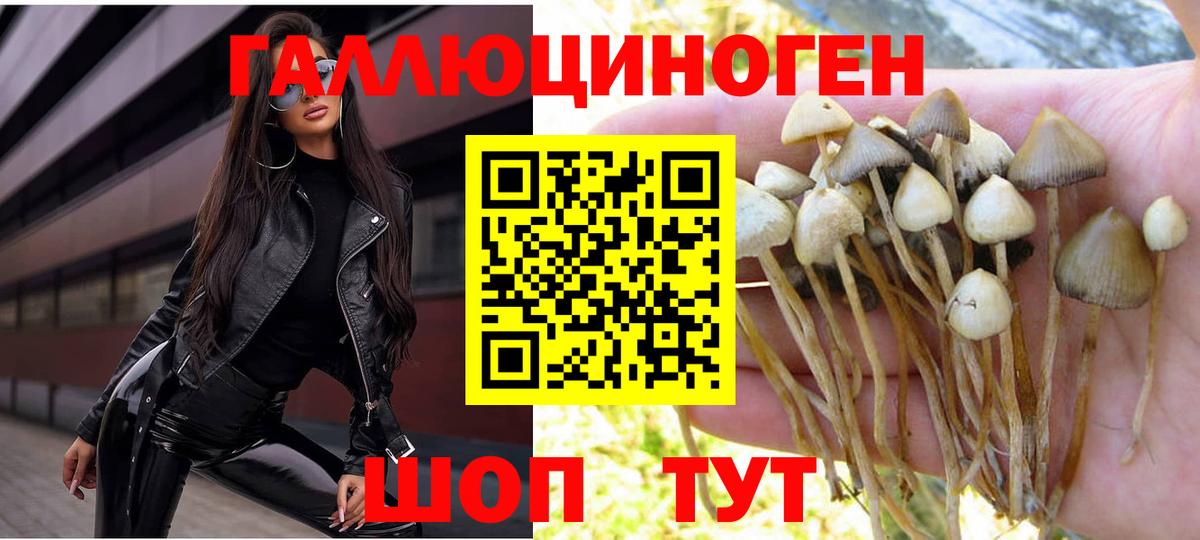 Галлюциногенные грибы ЛСД  Псилоцибиновые грибы MAGIC MUSHROOMS  Гурьевск  Вход с VPN 