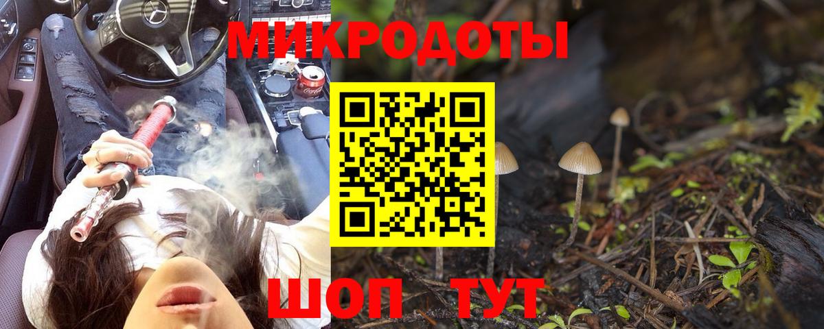 Псилоцибиновые грибы мицелий Гурьевск